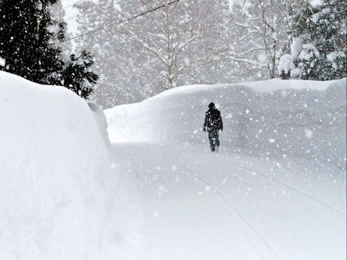 県内随一の豪雪地帯で、雪の壁が迫る地域もある　写真：瀬川強