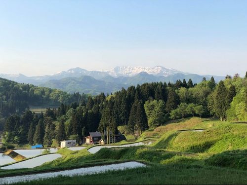 世界的アウトドアブランド「snow peak」の本社も下田にあります。