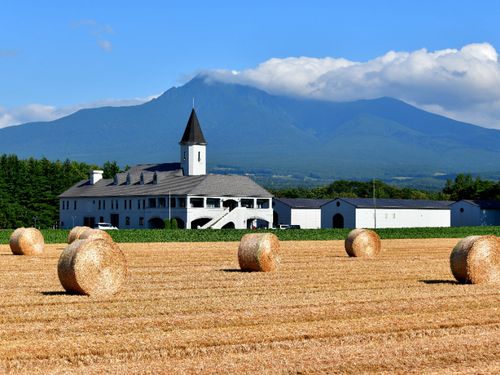 ジャガイモ焼酎工場と斜里岳