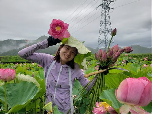 ワイワイと楽しく収穫！