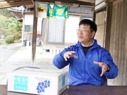 常陸太田市ぶどう部会部会長の武藤さん。3年後の生産者としての挑戦を応援したいそう。
