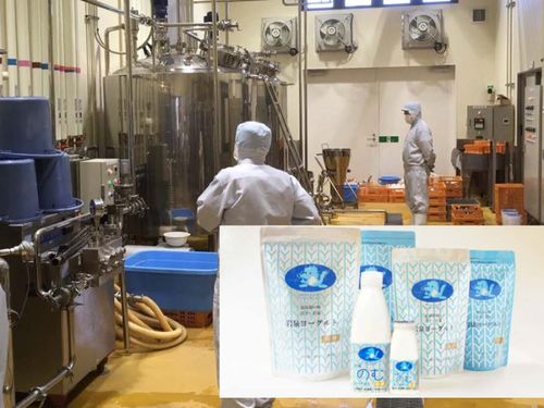 地域の牛乳を使って、岩泉ヨーグルトが作られます。