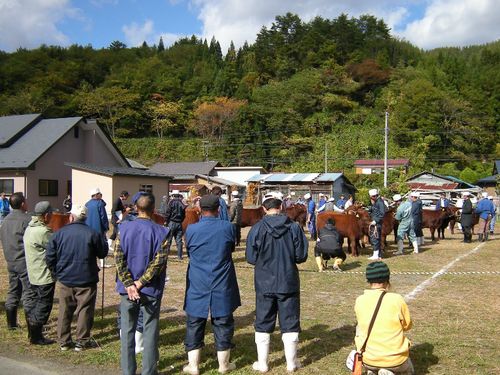 畜産農家の皆さんと地域の暮らしを楽しみましょう！