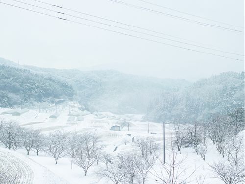 雪景色