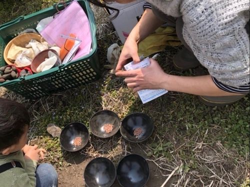 初めて種まきを経験するお子さん