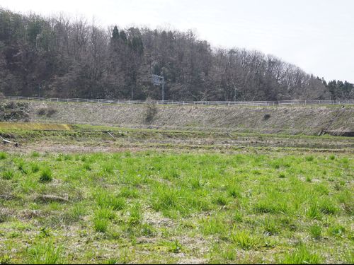 耕作放棄地をフィールドに、コメ暮らしクラブ始動