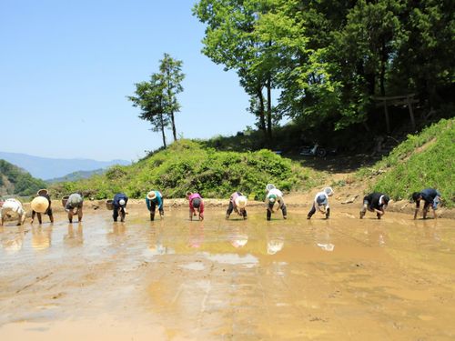 農ある暮らしに興味がある方におすすめ！