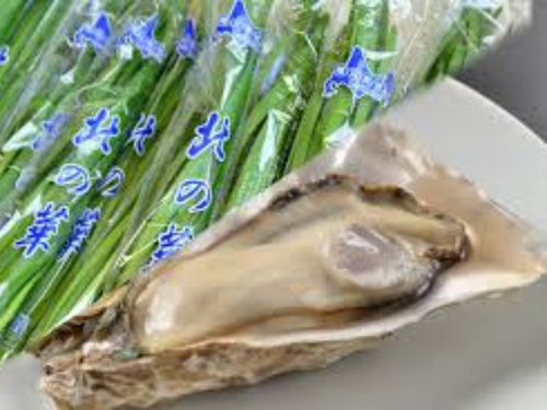 絶品しりうち産牡蠣も有名です！