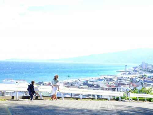小田原の海