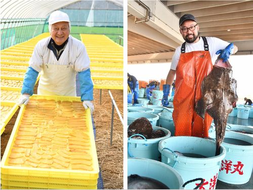 特産の「ほしいも」や新鮮な「海の幸」をもっと多くの人に届けたい