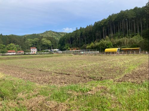 別府弁天池そばの田んぼ！！ここで作ります！