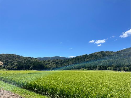 宿に改修した土蔵は母屋の北側にあり、この風景が広がる