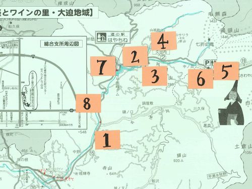 地図　左下が大迫の街エリアです
