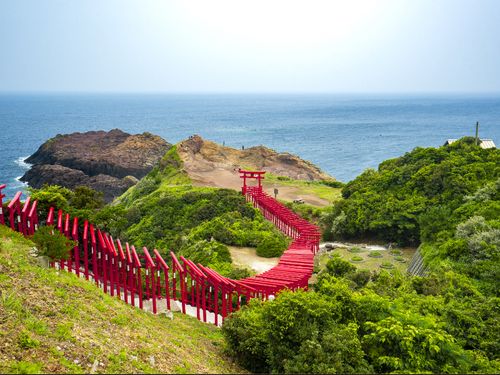 日本海を背景に赤い鳥居が連なる「元乃隅神社」
