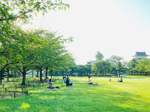 玉藻公園で朝ヨガ
