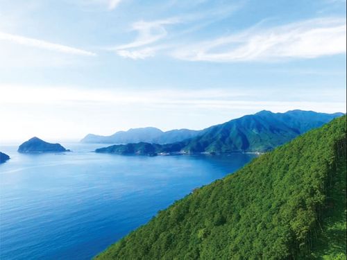 複雑な海岸線と共に美しい景色を織りなす尾鷲の地形