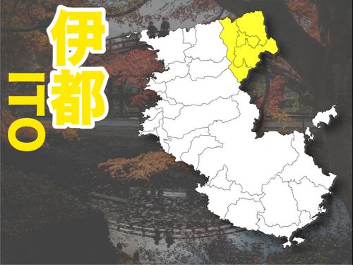 活動エリアは橋本市・かつらぎ町・高野町・九度山町・です！