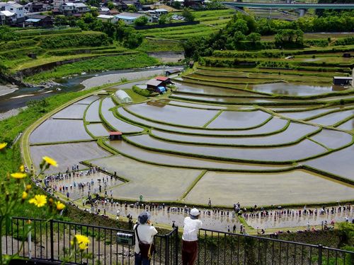 地域の魅力写真📸あらぎ島（有田川町）