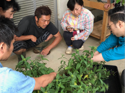 農家さんと特産品を生産〜商品開発まで一緒に行ったことも。