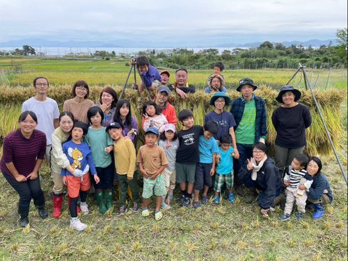 「田んぼのがっこう」での稲刈り