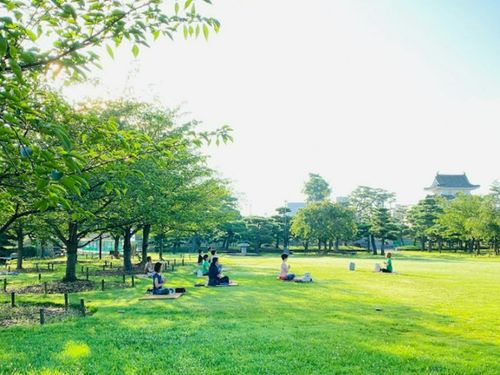 玉藻公園での朝ヨガ