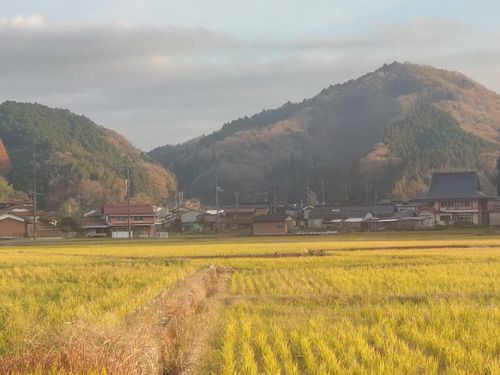 宿泊先近くの風景