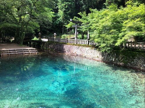 日本名水百選　別府弁天池
