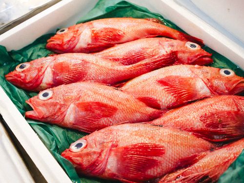 魚について・産地について学べる環境です！