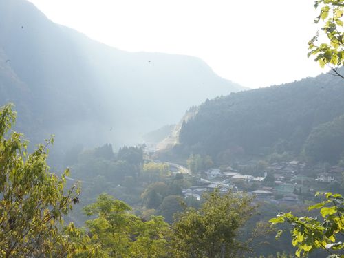 川上村の集落は、山の上・川のそばに２６箇所点在しています。離れて見てみると急斜面に集落があるのが一目瞭然です！と、言いつつ大きな畑をするのには、少し難点も。平らな土地が少なかったり、鹿や猿からまもるために柵をしたりする必要があります…！なんとか死守してできたお野菜は、とっても大事にして食べられます…笑