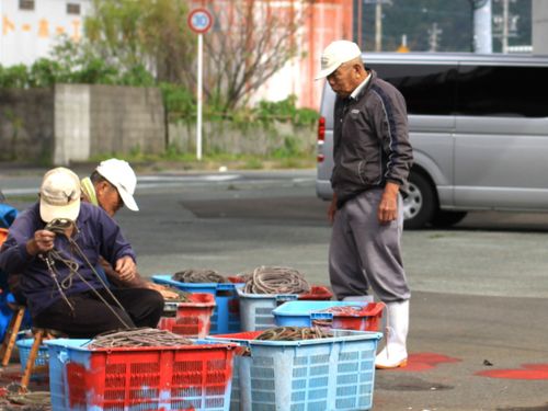 漁師さんたちが網を捌く港町の日常風景