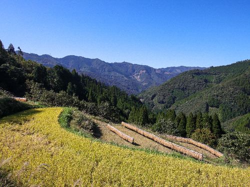 山々に囲まれた田んぼ