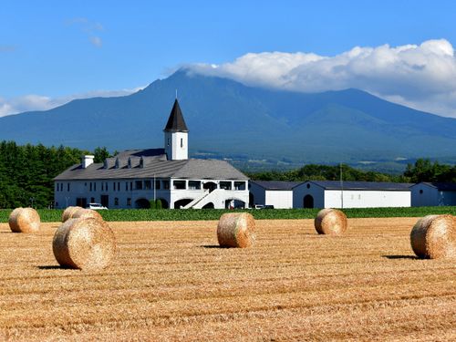 ジャガイモ焼酎工場と斜里岳