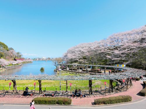 市外からも人が集まる人気の蓮華寺池公園です☆