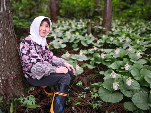 ご自身の所有する山林で草花を愛でられている喜久子さん