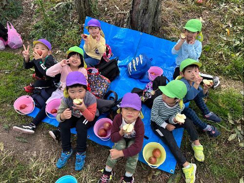 受入園では、近くの農園でりんご狩りをすることも