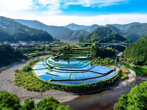 有田川町WEEK！7月3日（水）～7日（日）