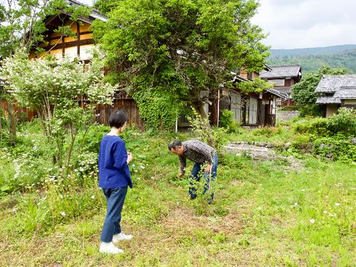 木々を植えたお庭で。奥が住まいにしている古民家