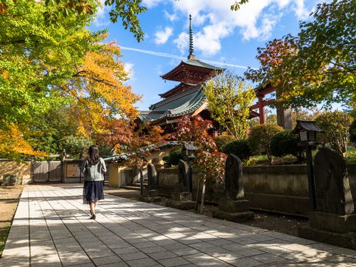 「藤田記念庭園」や「禅林街」などでは和の雰囲気を感じられます