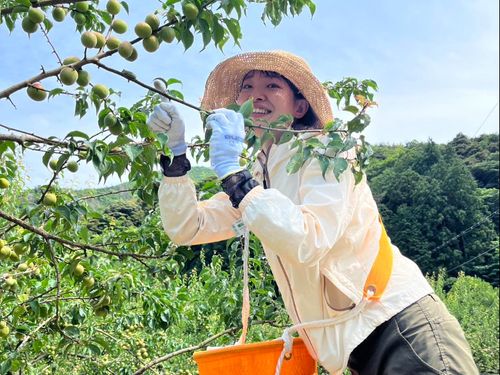 空き家だけではなく、一次産業のお手伝いもしています！