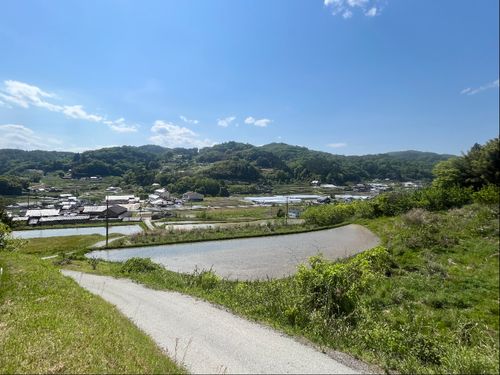 自然林が多く、四季折々で山の景色が変わる高梁市。気候や風土もぜひ体験してください。