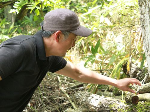 マテリアル例）蒜山に眠る広葉樹端材の活用アイデア