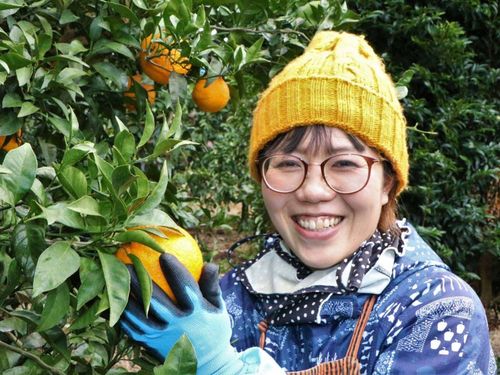 地域おこし協力隊からみかん農家になった大久保さん