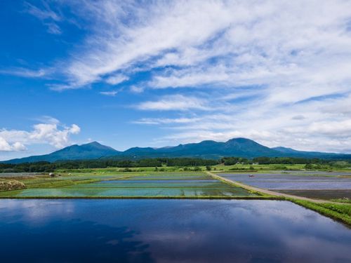 霧島山と田園