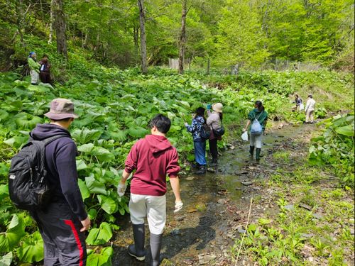 キナアカラ（山菜採取・食体験）の様子