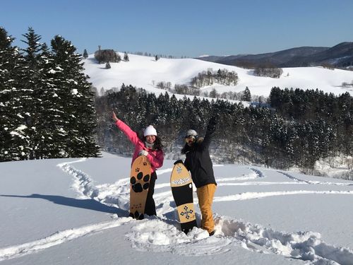 スキー、スノーボード、クロスカントリースキー、雪板。パウダースノーがほどよく降り積もるため、冬のアクティビティも楽しめるのが魅力です！