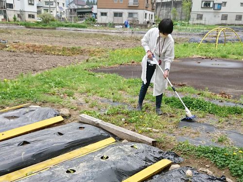 草刈り機って使ったことありますか？使い方、教えます。