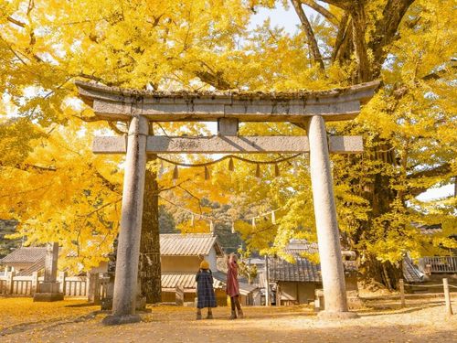 岩部八幡神社