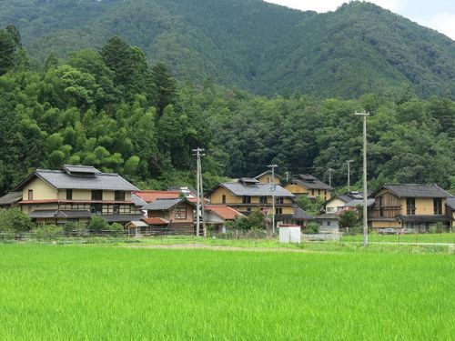 大杉地区