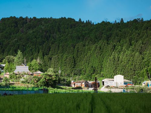 自然豊かな紀美野町