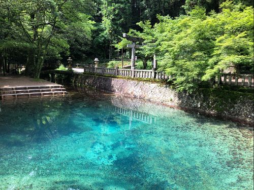 日本名水百選　別府弁天池